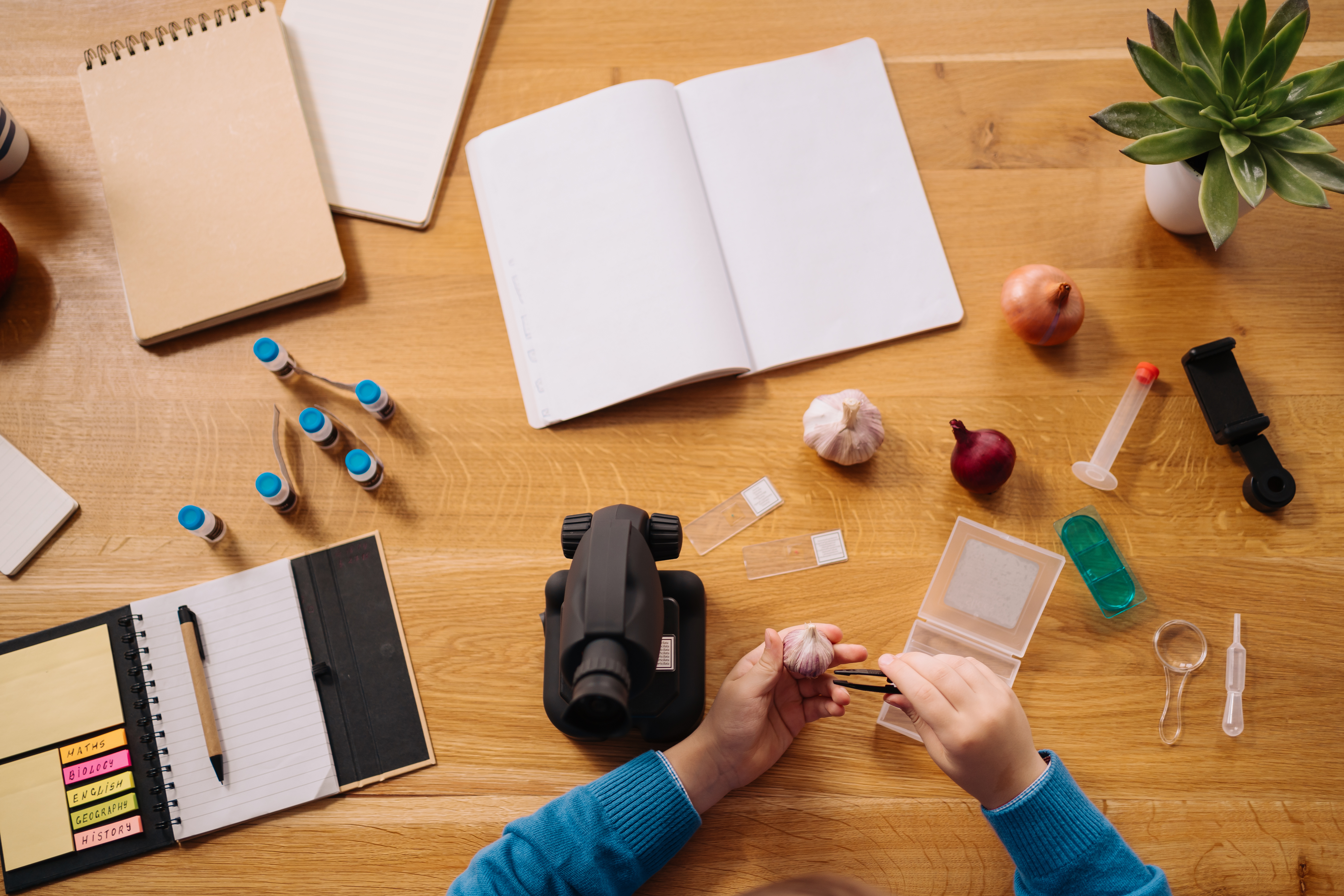 Editor organizing product photos and image notes on a bright publishing desk