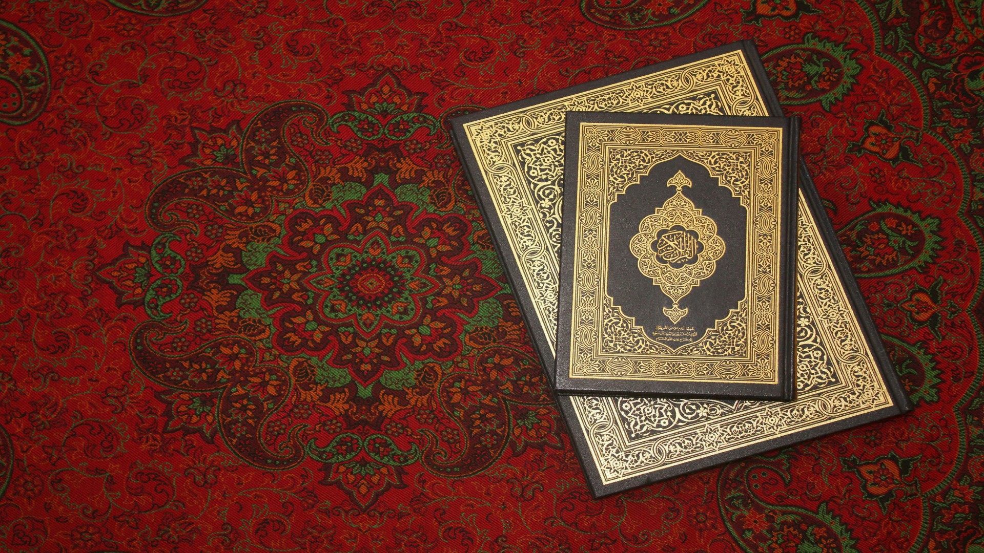 The Ten-Minute Translation Ritual That Brought Our Family Home Again