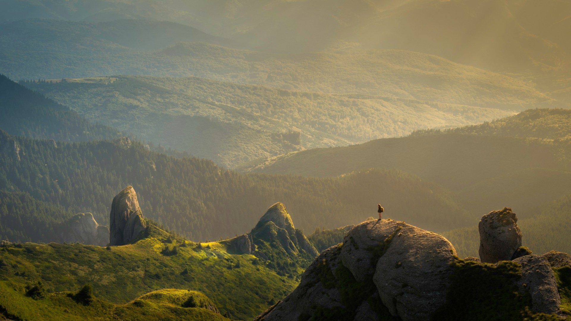 Wearables and Wellness: What Muslims Should Use With Balance