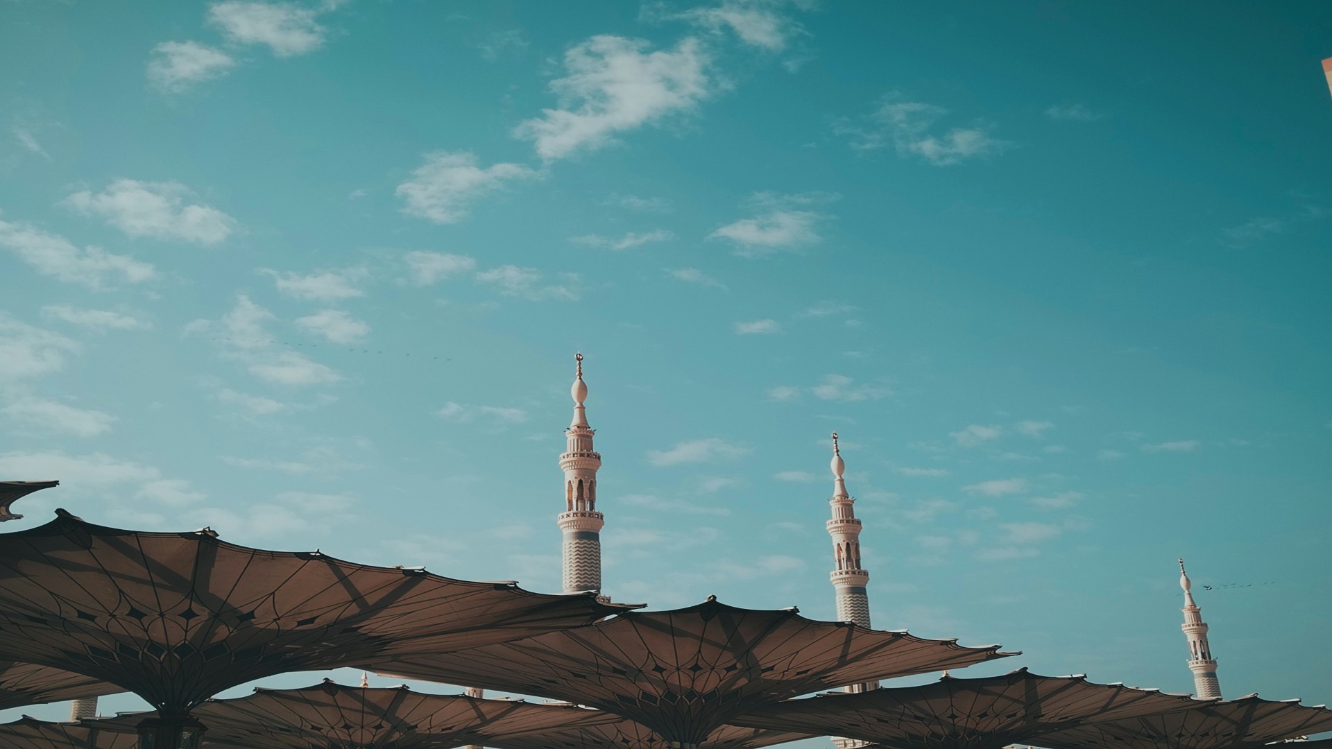 When Cultural Pride Starts Helping Instead of Performing