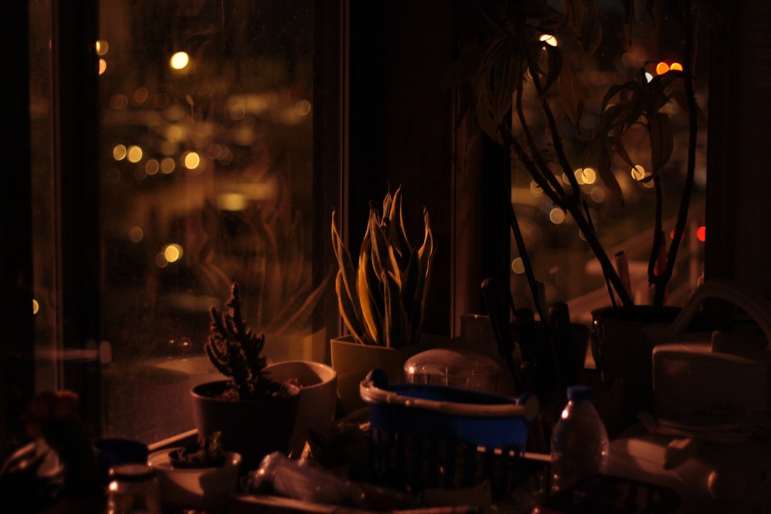 Editorial image for The Last of Us Part I: PC launch context and compatibility watch