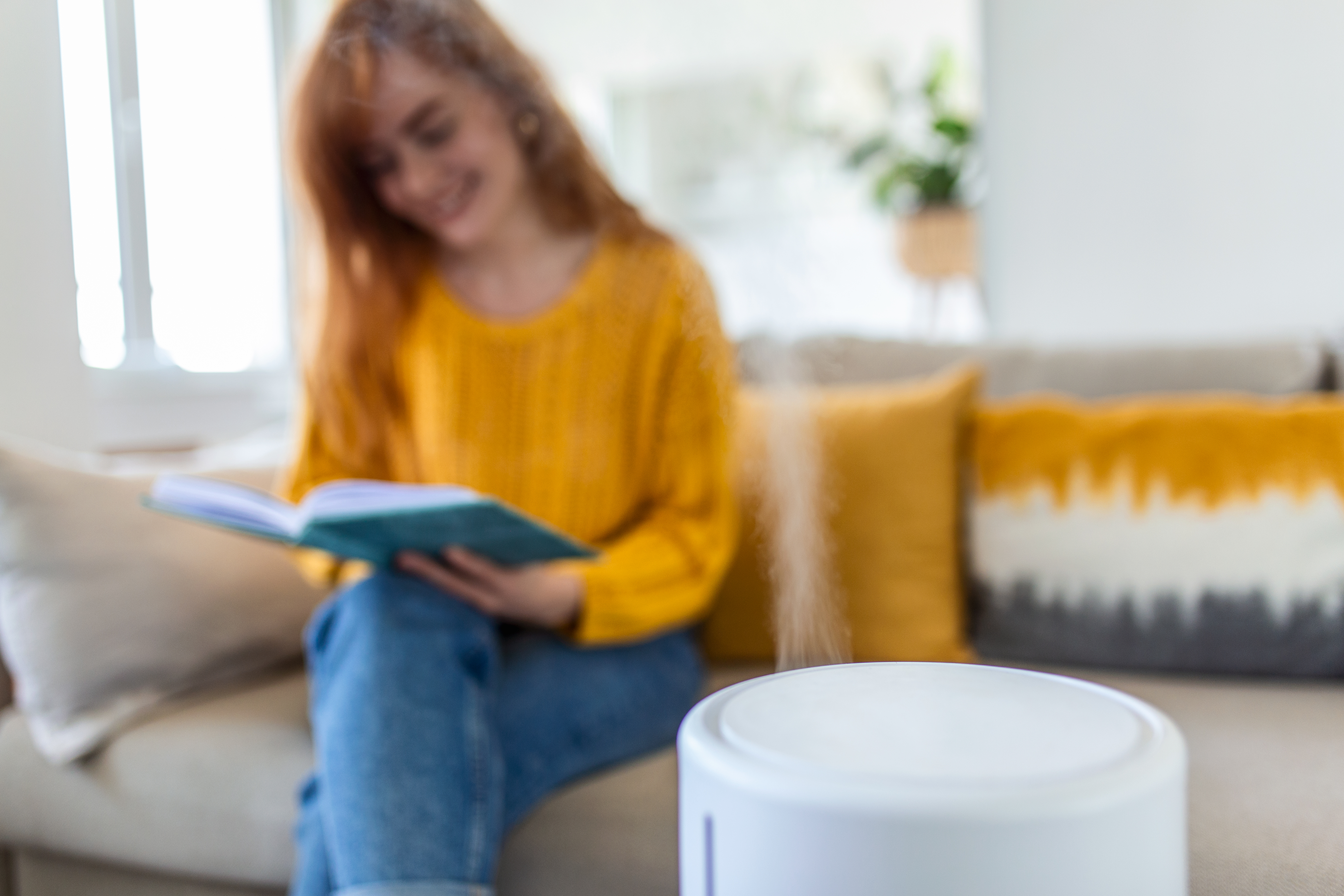 Small apartment living room with HEPA air purifier on a side table