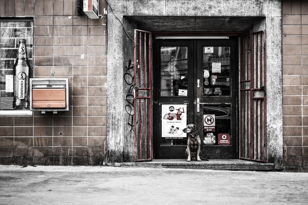 Streamline Your Auto Repair Shop's Appointment & Service Flow Image