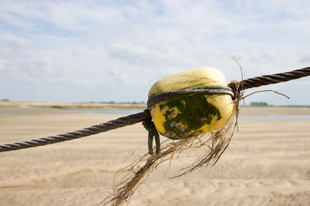 Use Seasonal Retainers to Grow Your Landscaping Revenue